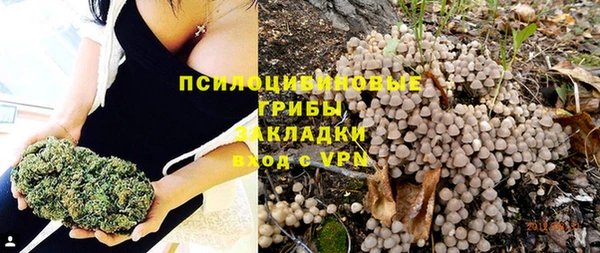 дурь Алексин