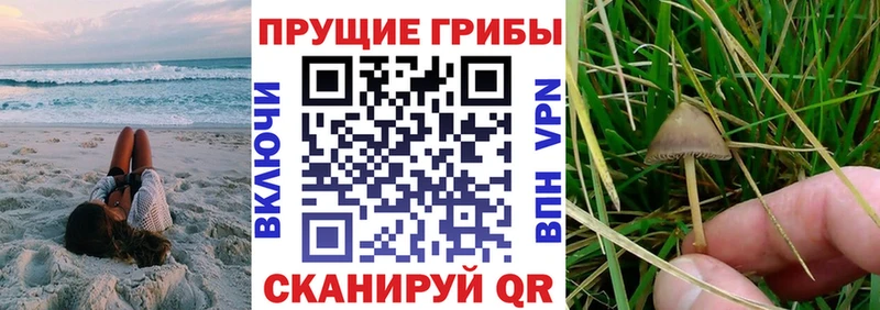 Галлюциногенные грибы MAGIC MUSHROOMS Киренск