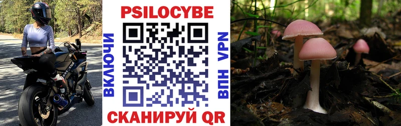 даркнет сайт  Киренск  ОМГ ОМГ ССЫЛКА  Галлюциногенные грибы MAGIC MUSHROOMS 